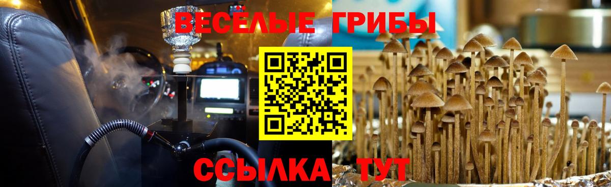 Удомля  Галлюциногенные грибы GOLDEN TEACHER  Псилоцибиновые грибы GOLDEN TEACHER  Вход с VPN 